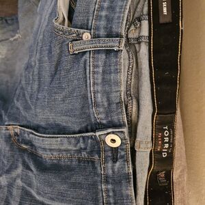 Torrid Sky High Skinny